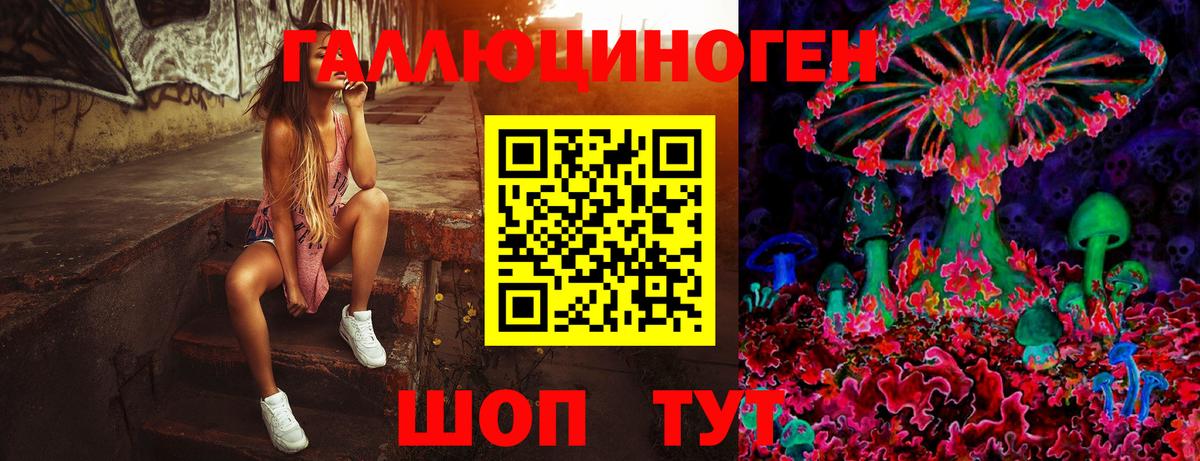 Истра  Псилоцибиновые грибы Magic Shrooms  Вход с VPN 
